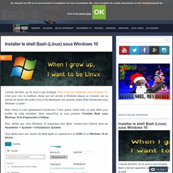 Installer le shell Bash (Linux) sous Windows 10