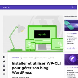 Installer et utiliser WP-CLI pour gérer son blog WordPress