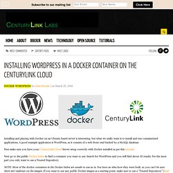 Installing WordPress in a Docker Container on the CenturyLink Cloud