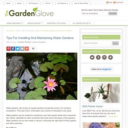 Tips For Installing And Maintaining Water Gardens