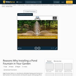 Reasons Why Installing a Pond Fountain in Your Garden