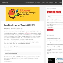 Installing Bower on Ubuntu 14.04 LTS