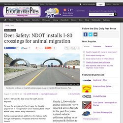 Deer Safety: NDOT installs I-80 crossings for animal migration