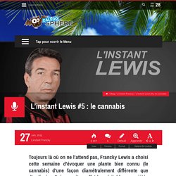 L’instant Lewis #5 : le cannabis - Calédosphère
