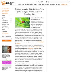 Instant Insects: Kill Garden Pests (and Delight Your Kids) with Ladybug Kits