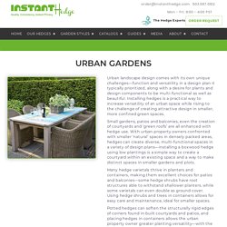 InstantHedge - Hedge Inspiration in Urban Gardens — InstantHedge