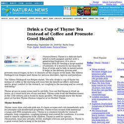 Drink a Cup of Thyme Tea Instead of Coffee and Promote Good Health