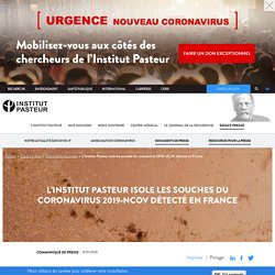 L’Institut Pasteur isole les souches du coronavirus 2019-nCoV, détecté en France