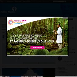 Pasteur International FR - CCOMS Guyane