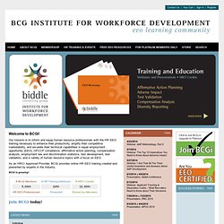 BCG Institute for Workforce Development