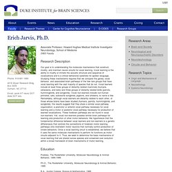 Institute for Brain Sciences - Jarvis, Erich - Ph.D.