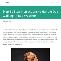Step By Step Instructions to Handle Dog Walking In Bad Weather