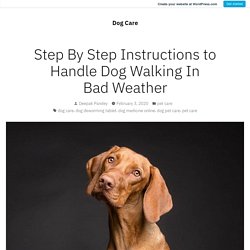 Step By Step Instructions to Handle Dog Walking In Bad Weather – Dog Care