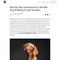 Step By Step Instructions to Handle Dog Walking In Bad Weather