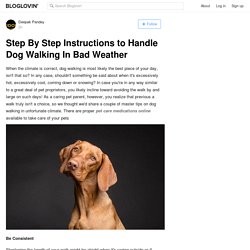 Step By Step Instructions to Handle Dog Walking In Bad Weather