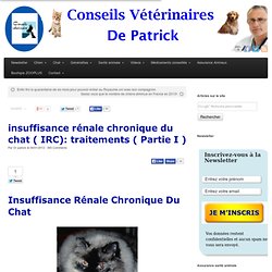insuffisance rénale chronique du chat ( IRC): traitements ( Partie I ) - Conseils d'un vétérinaire