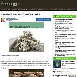Sheep Wool Insulation Comes To America