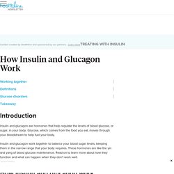 Insulin and Glucagon: How Do They Work?