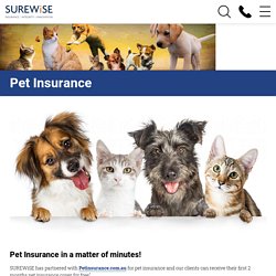 Pet Insurance Australia - Surewise
