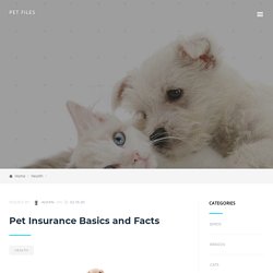 Pet Insurance Basics and Facts - Pet Files