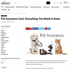 Pet Insurance Cost: Everything You Need to Know