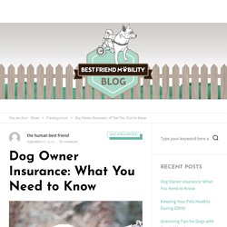 Dog Owner Insurance: What You Need to Know