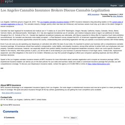 Los Angeles Cannabis Insurance Brokers Discuss Cannabis Legalization