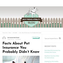 Facts About Pet Insurance You Probably Didn't Know