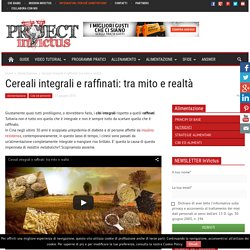 Cereali integrali e raffinati: tra mito e realtà - Project inVictus