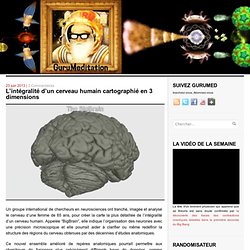 L’intégralité d’un cerveau humain cartographié en 3 dimensions
