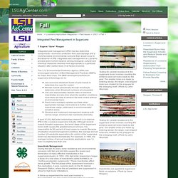 LSUAGCENTER - 2001 - Integrated Pest Management in Sugarcane