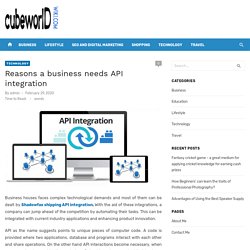 Reasons a business needs API integration – cubeworldwiki