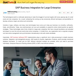 SAP Business Integration for Large Enterprise