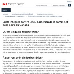 AGRICULTURE CANADA 20/12/18 Lutte intégrée contre le feu bactérien de la pomme et de la poire au Canada