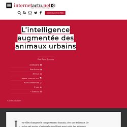L’intelligence augmentée des animaux urbains