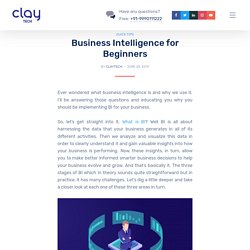 Business Intelligence for Beginners - Clay Tech