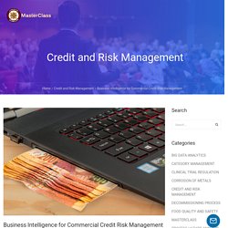 Business Intelligence for Commercial Credit Risk Management