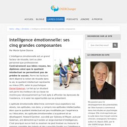 Intelligence émotionnelle: ses cinq grandes composantes - OSERChanger.com