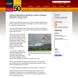 Drying Intensifying Wildfires, Carbon Release Ninefold, Study Finds