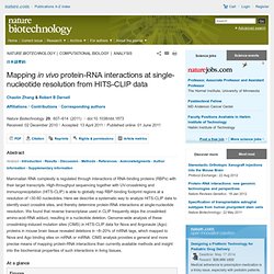 Mapping in vivo protein-RNA interactions at single-nucleotide resolution from HITS-CLIP data : Nature Biotechnology