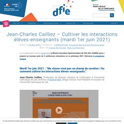 Jean-Charles Cailliez – Cultiver les interactions élèves-enseignants (mardi 1er juin 2021) – DFIE Lyon – Délégation Formation Innovation Expérimentation