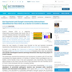 Gut bacterial and fungal community interactions identified for first time as a factor in Crohn’s disease - Gut Microbiota for Health