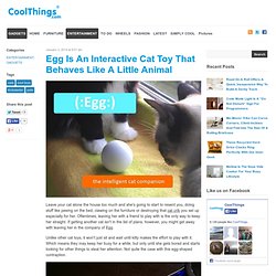 Egg Is An Interactive Cat Toy That Behaves Like A Little Animal