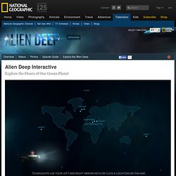 Alien Deep Interactive