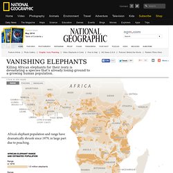 Ivory Worship - Interactive: Elephant Ivory Poaching