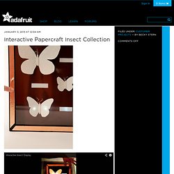 Interactive Papercraft Insect Collection