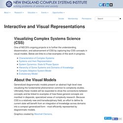 Interactive and Visual Representations