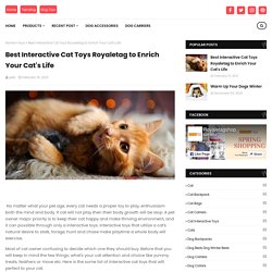 Best Interactive Cat Toys Royaletag to Enrich Your Cat's Life