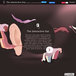 Interactive Ear tool showing how the ear works by Amplifon