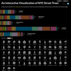 An Interactive Visualization of NYC Street Trees